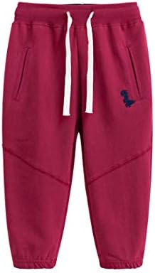 EISHOW Toddler Dinosaur Print Sweatpants for Kids 2-7 Years