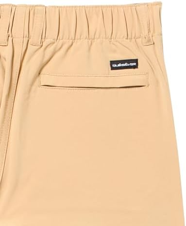 Quiksilver Boys Union Amphibian 13 Hybrid Shorts