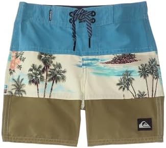 Quiksilver Boys Dive-In-Friendly Slim Shorts