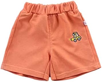 Dinosaur Beach Boys Shorts - Pull-On