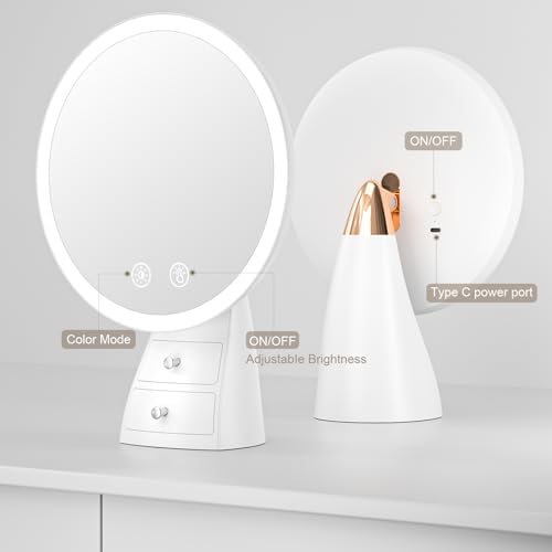 Lighted Makeup Mirror with Organizer