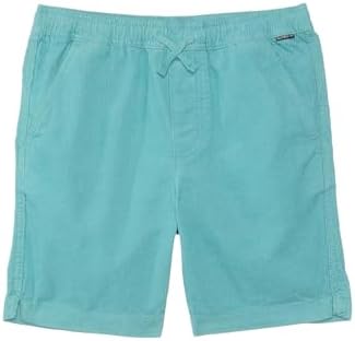 Quiksilver Boys Taxer Cord WS Shorts in Blue