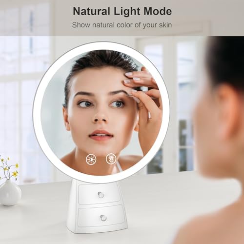 Lighted Makeup Mirror with Organizer