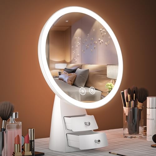 Lighted Makeup Mirror with Organizer