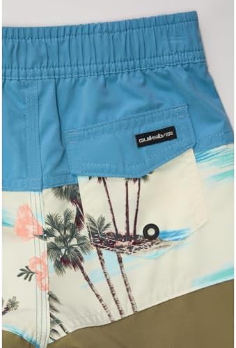 Quiksilver Boys Dive-In-Friendly Slim Shorts