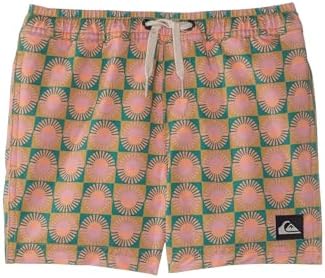 Quiksilver Boys Surfsilk Mix Volley Big Kids