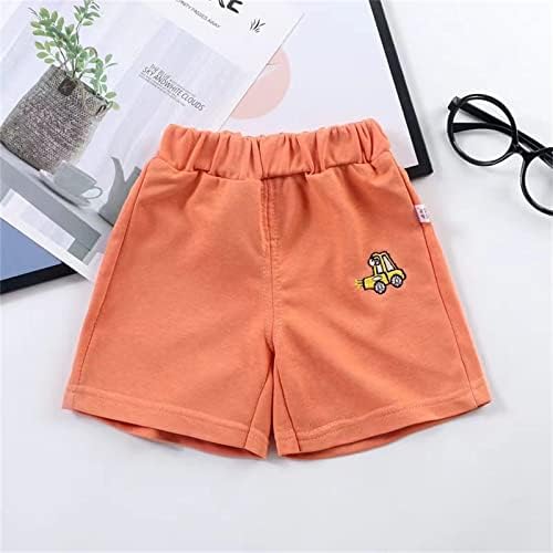 Dinosaur Beach Boys Shorts - Pull-On