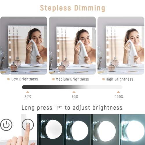 Elegantly Modern 10X Vanity Mirror