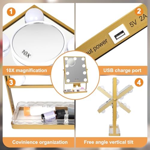 Adjustable - 10X Magnification LED Makeup Mirror with Storage