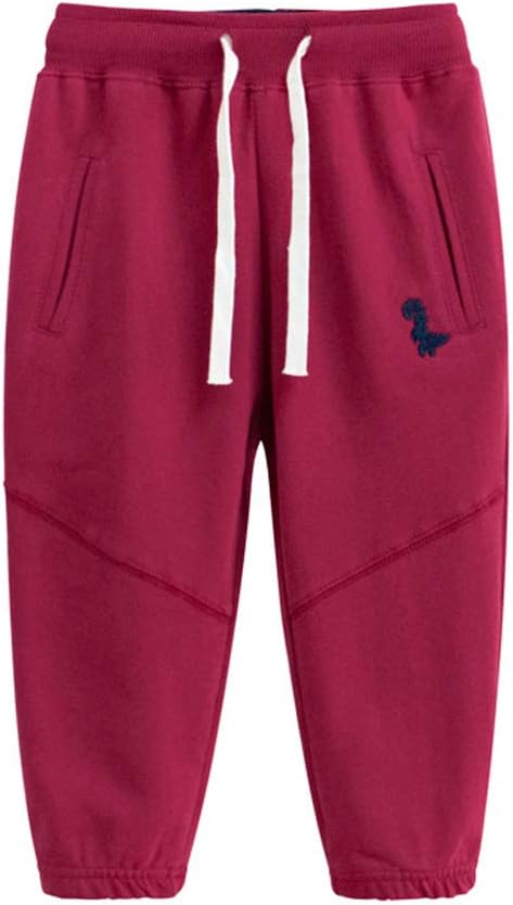 EISHOW Toddler Dinosaur Print Sweatpants for Kids 2-7 Years