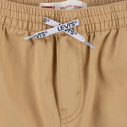 Levis Boys Pull-On Twill Shorts