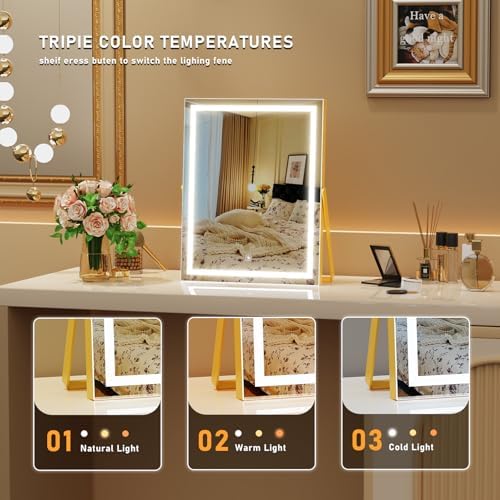 Vanity Mirror with Lights - 1114 LED Makeup Mirror