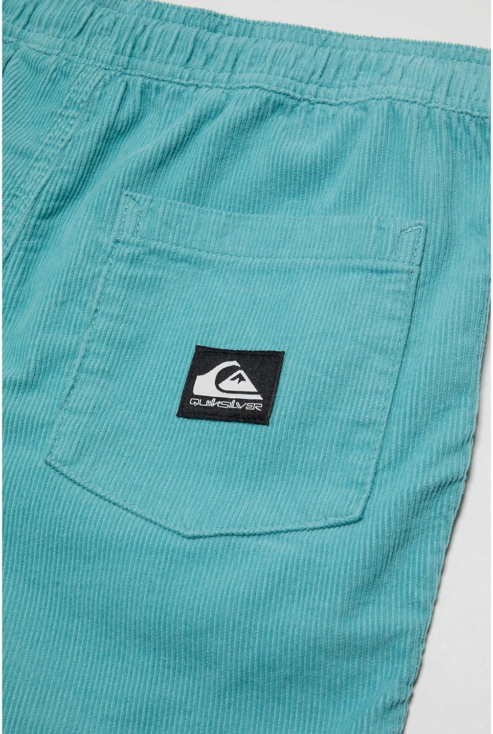 Quiksilver Boys Taxer Cord WS Shorts in Blue